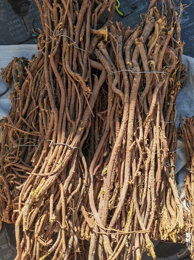 多年生野生甘草片，足干无硫纯野生，量大从优，产地批发
