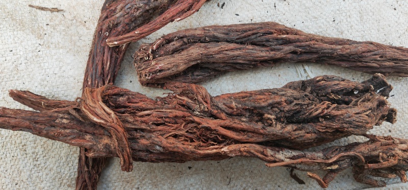 甘肃纯野生紫丹参，深山踩挖，多年生***丹参产地批发