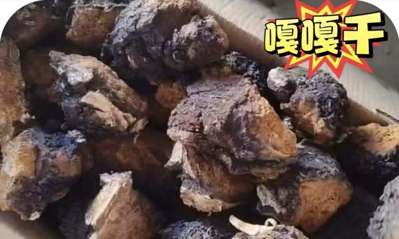 桦树茸（桦树泪）