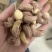 紫衣腰果180大果