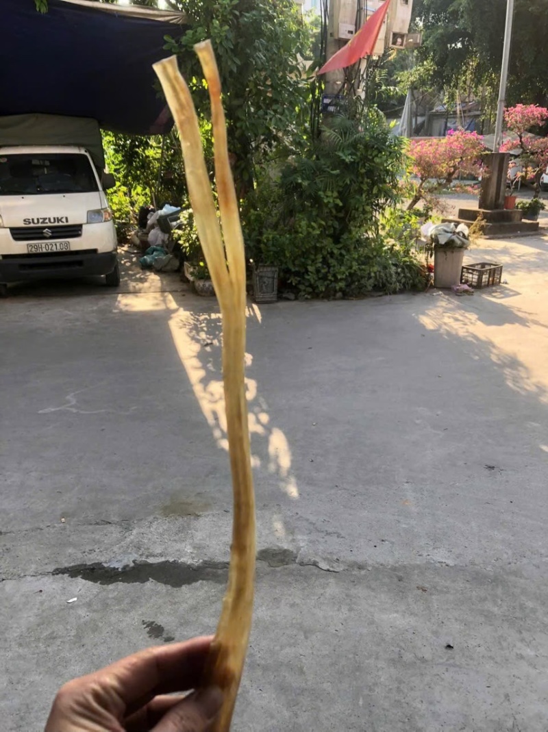 牛筋，干牛蹄筋，自然晒干，无硫