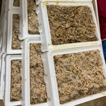 扇贝裙边，一箱5斤，去杂质不用在此加工，品质保证可视频看货