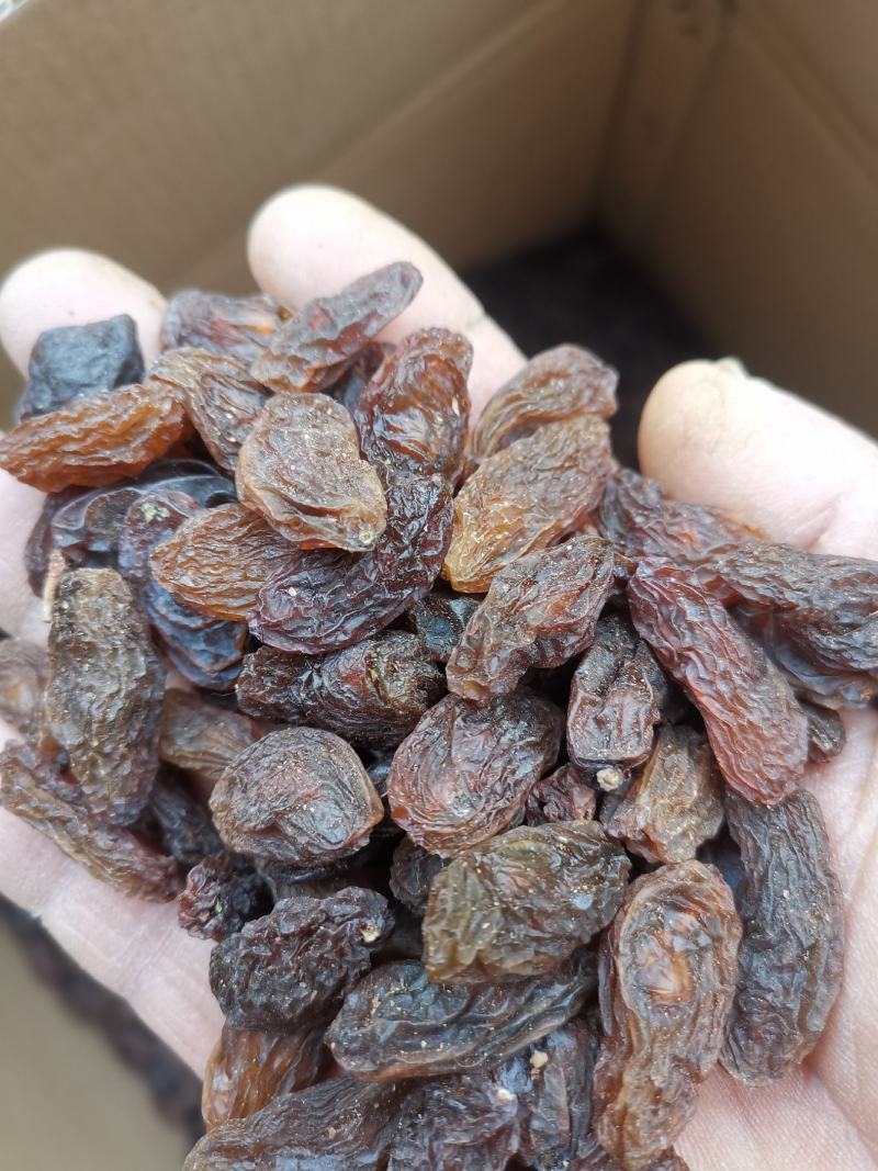 吐鲁番特产，马奶子葡萄干，果香核脆营养丰富