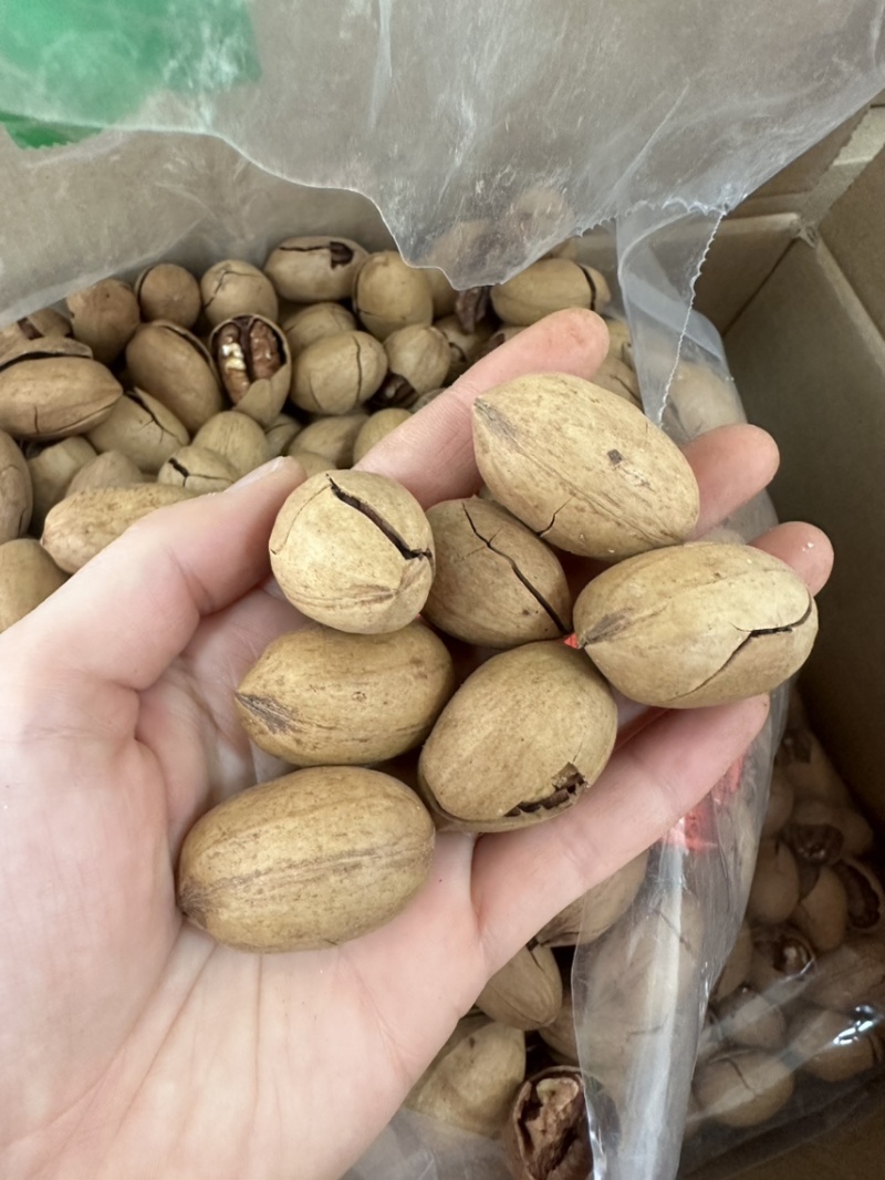 碧根果奶香味长寿果新疆特产