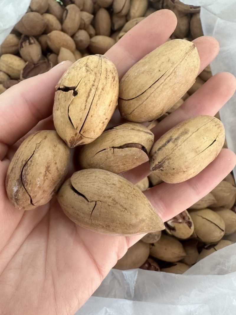 碧根果奶香味长寿果新疆特产