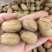 碧根果奶香味长寿果新疆特产