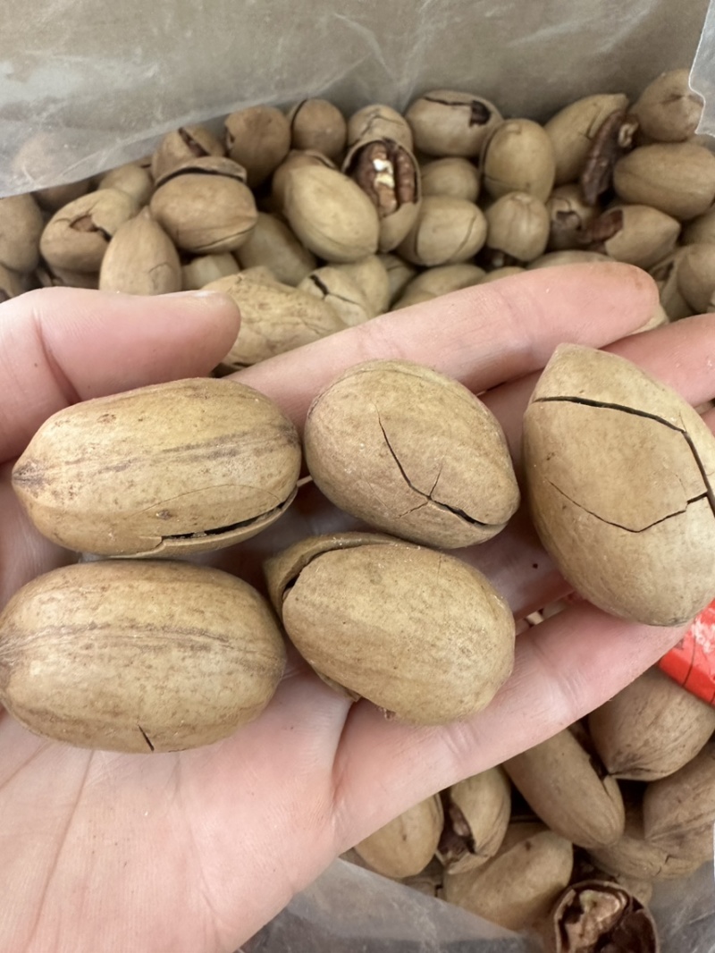 碧根果奶香味长寿果新疆特产