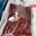 香辣精品去籽辣椒段，三樱椒辣椒段。。。。