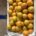 山西夏县大棚金太阳杏