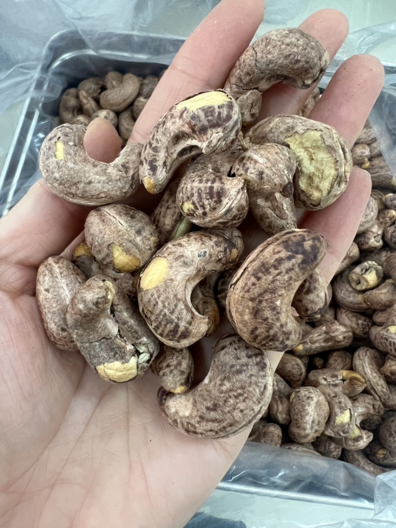 紫衣腰果公司货大量现货