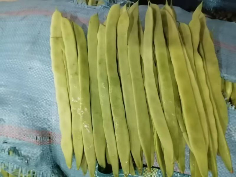 精品扁芸豆电商赶集超市