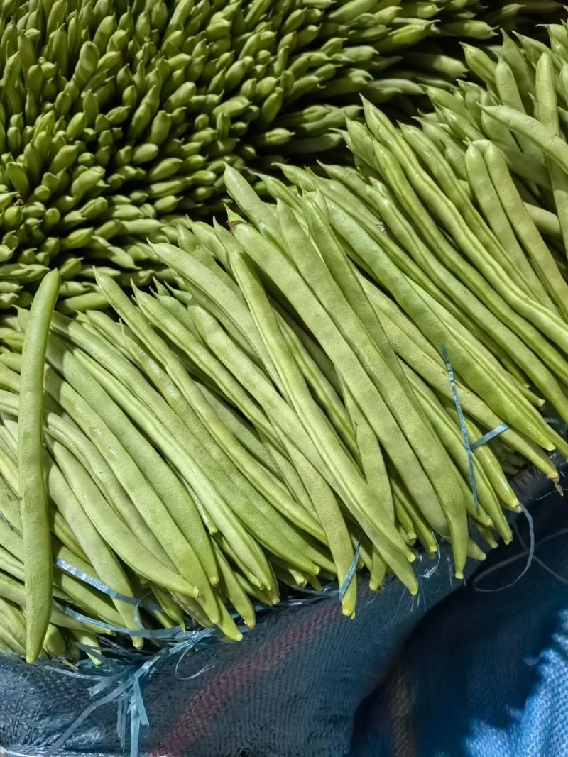 精品扁芸豆电商赶集超市