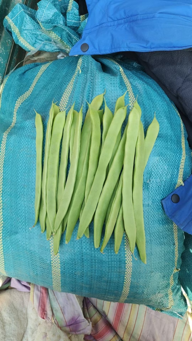 精品扁芸豆电商赶集超市