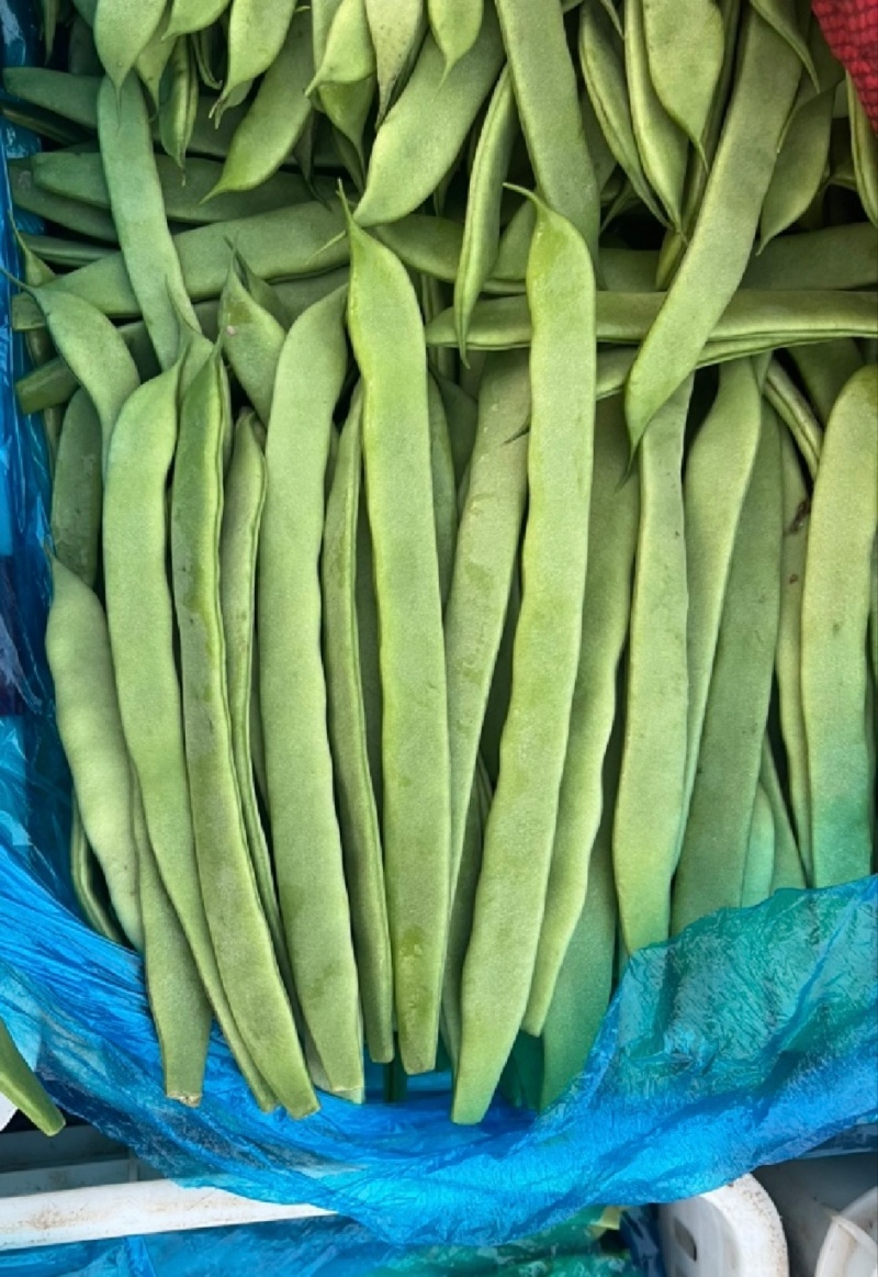 精品扁芸豆电商赶集超市