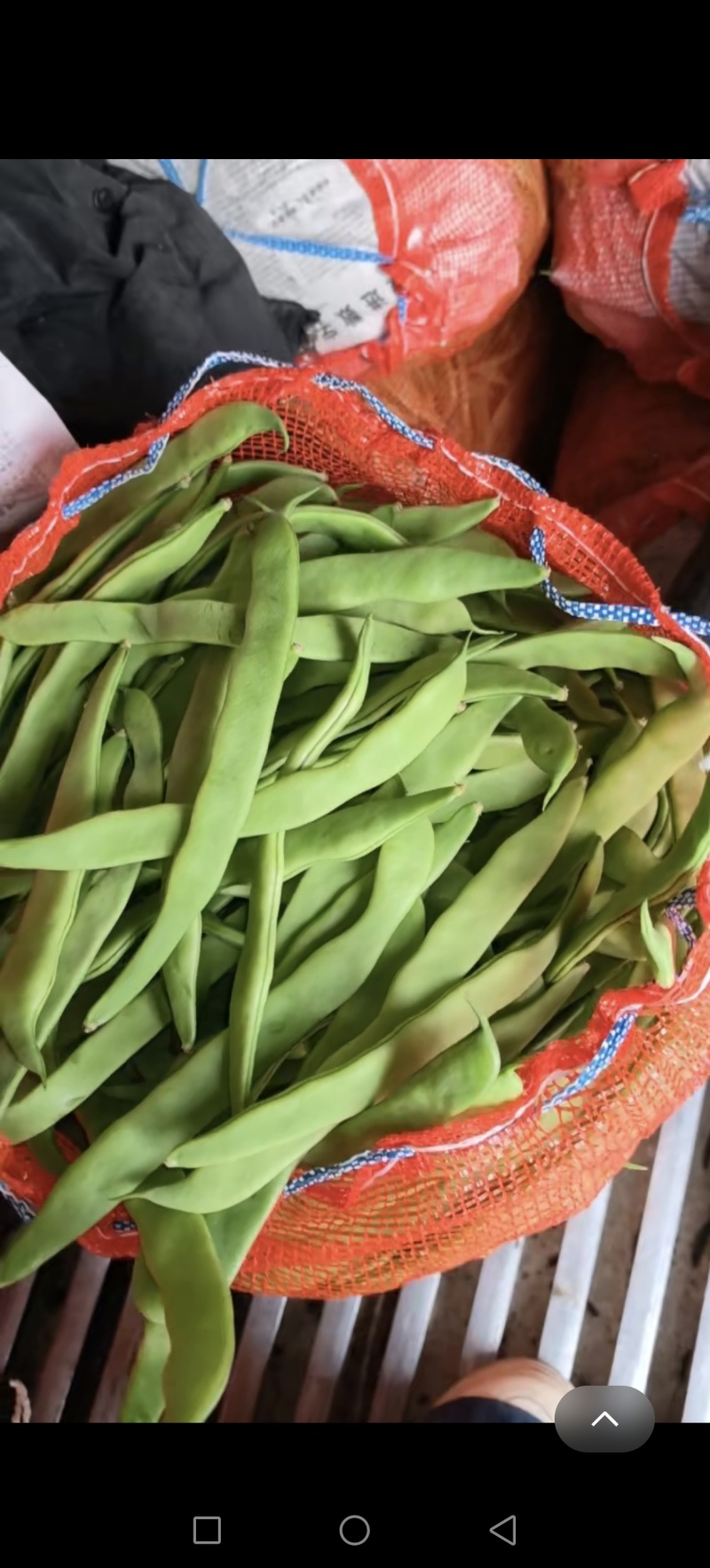 精品扁芸豆电商赶集超市