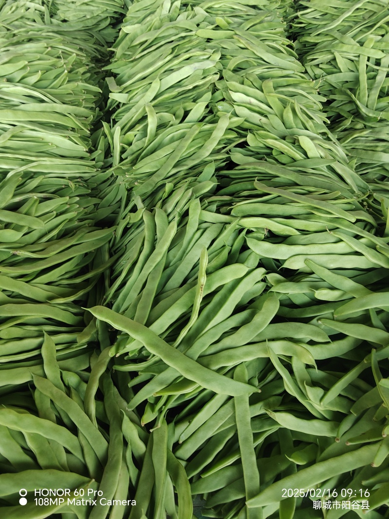 精品扁芸豆电商赶集超市