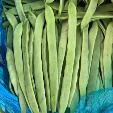 精品扁芸豆电商赶集超市