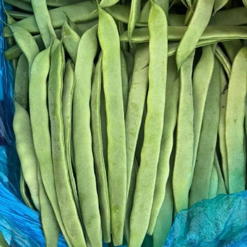 精品扁芸豆电商赶集超市