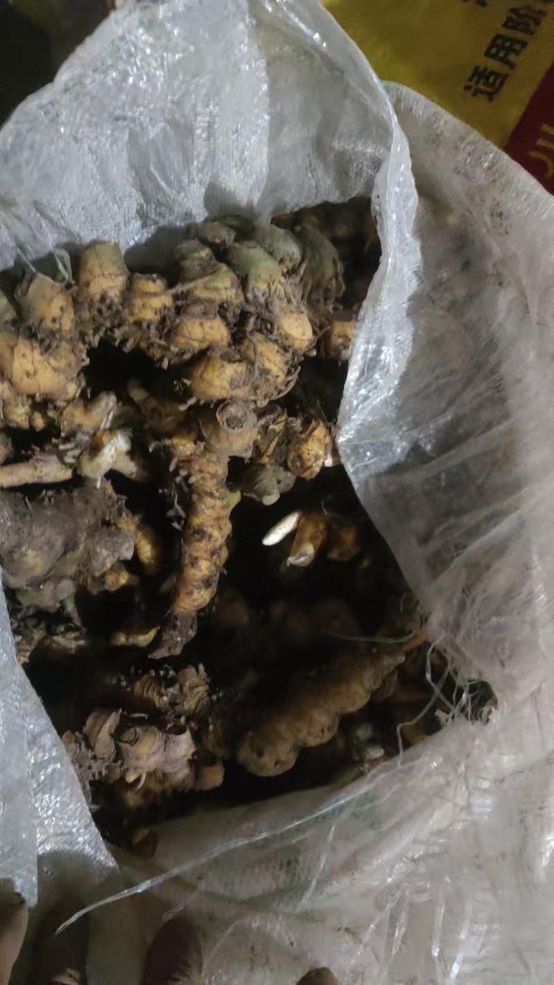 竹根七纯野生山货，长期供应欢迎老板们随时咨询