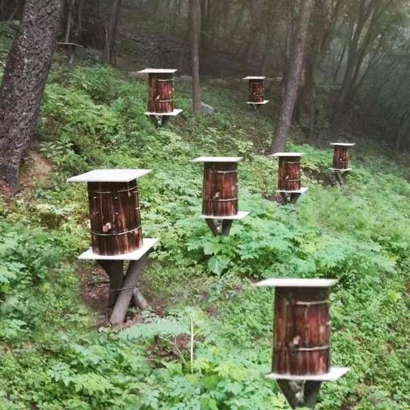 土蜂蜜
