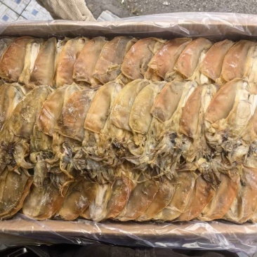 墨鱼干，淡干无盐干度好颜色亮