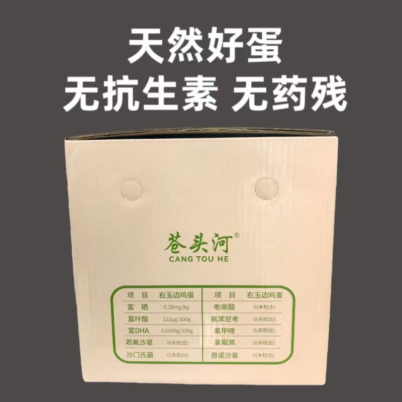 右玉边鸡蛋，***种质资源，