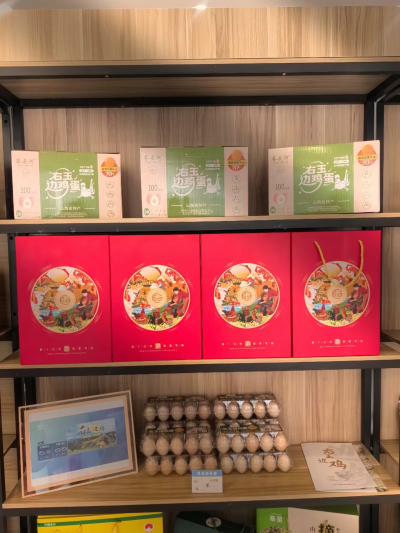 右玉边鸡蛋，***种质资源，