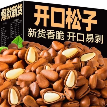 开口松子大量现货量大来谈