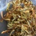 《傲宇药材》陈皮陈皮丝货干颜色好