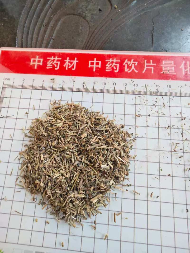 河北绞股蓝质量好量大从优质优价廉对接全国市场欢迎询价