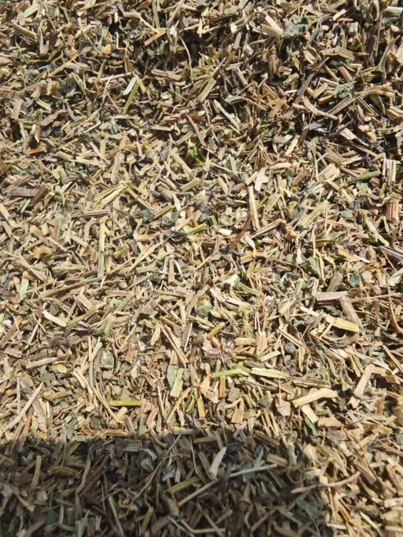 河北绞股蓝质量好量大从优质优价廉对接全国市场欢迎询价