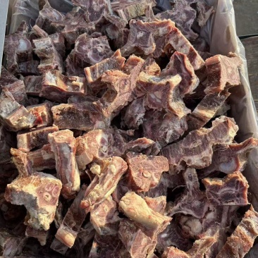 多肉羊蝎子