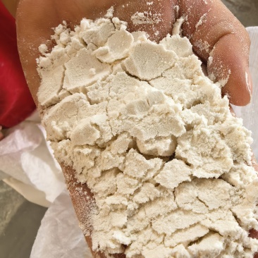 辽春18号小麦面粉一手货源