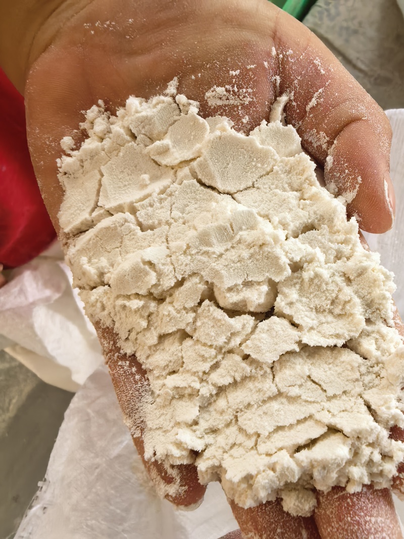 辽春18号小麦面粉一手货源