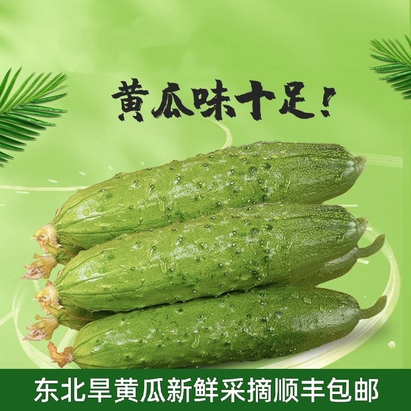 【平台力推】诚信代办【量大从优】价格合理【超市直供】大包