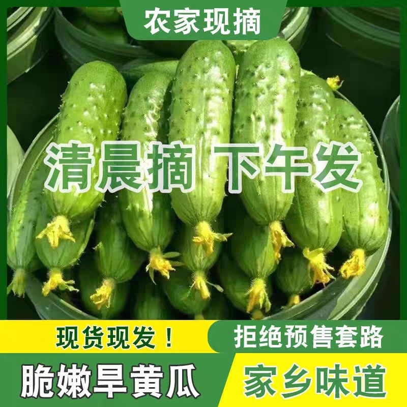 【平台力推】诚信代办【量大从优】价格合理【超市直供】大包