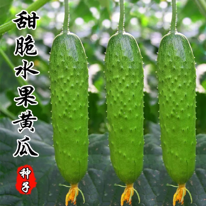 【平台力推】诚信代办【量大从优】价格合理【超市直供】大包