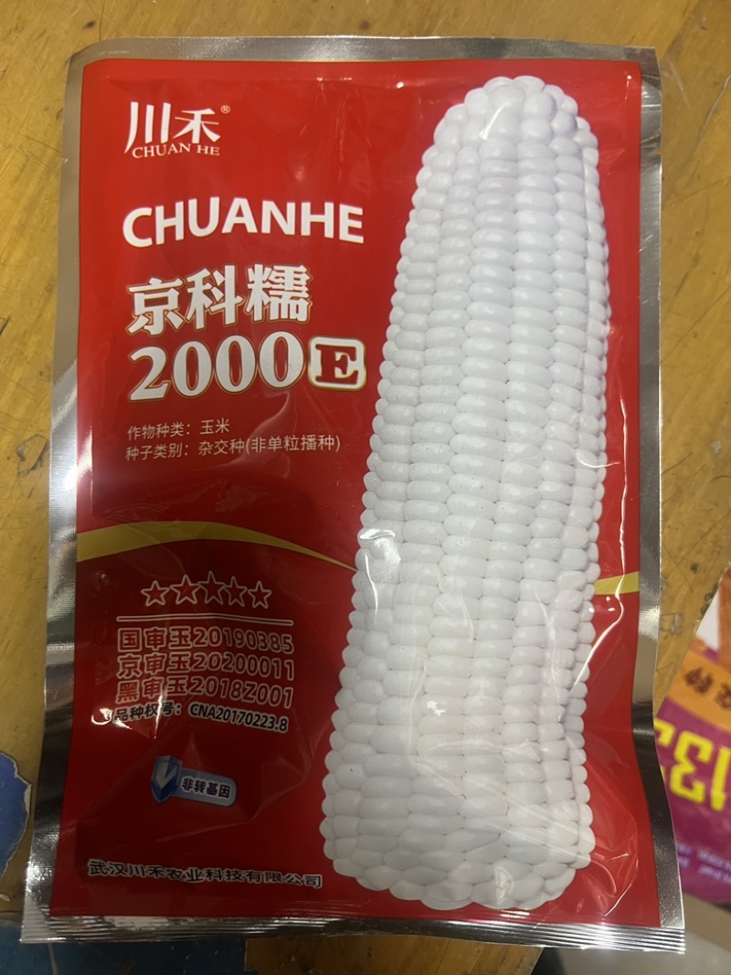 京科糯2000E白糯玉米种子大棒耐热口感好好管理