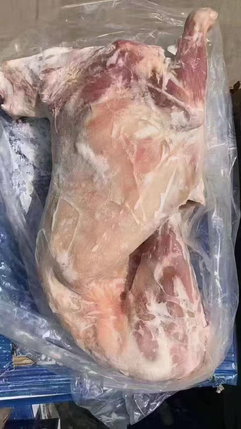 一级卧式全羊