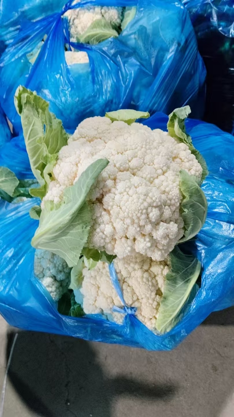 花菜大量上市