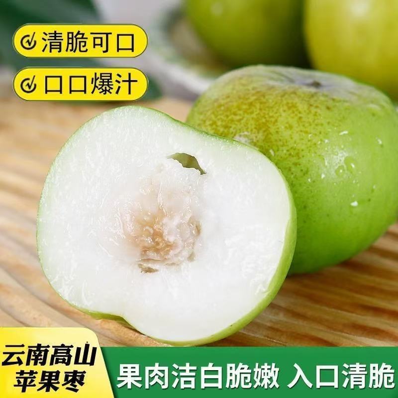 福建漳州苹果枣，大量上市，全国发货，欢迎进店沟通