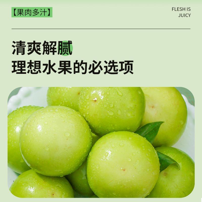 福建漳州苹果枣，大量上市，全国发货，欢迎进店沟通