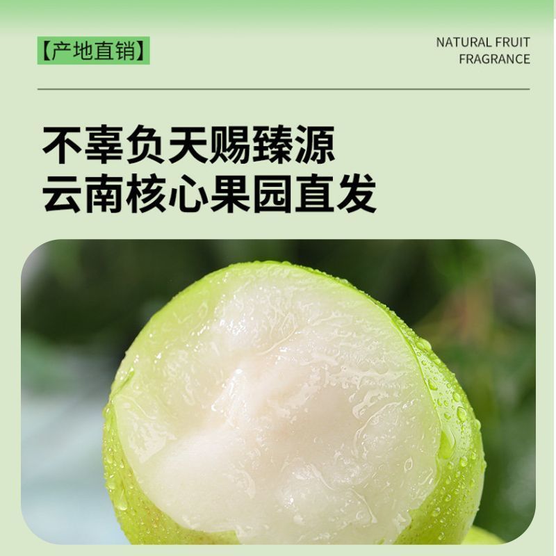 福建漳州苹果枣，大量上市，全国发货，欢迎进店沟通