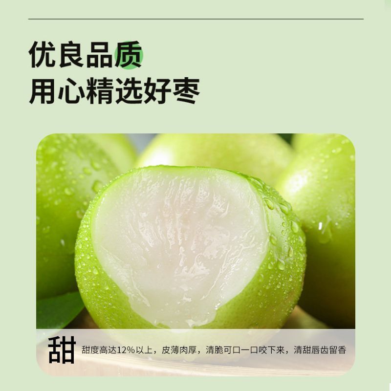 福建漳州苹果枣，大量上市，全国发货，欢迎进店沟通