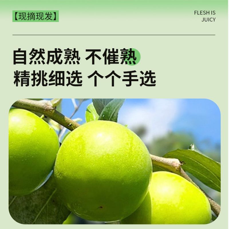福建漳州苹果枣，大量上市，全国发货，欢迎进店沟通