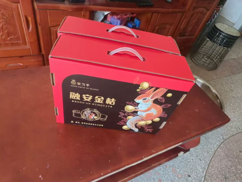 广西融安县小金桔产地货源大量上市一手货源批发品质保证