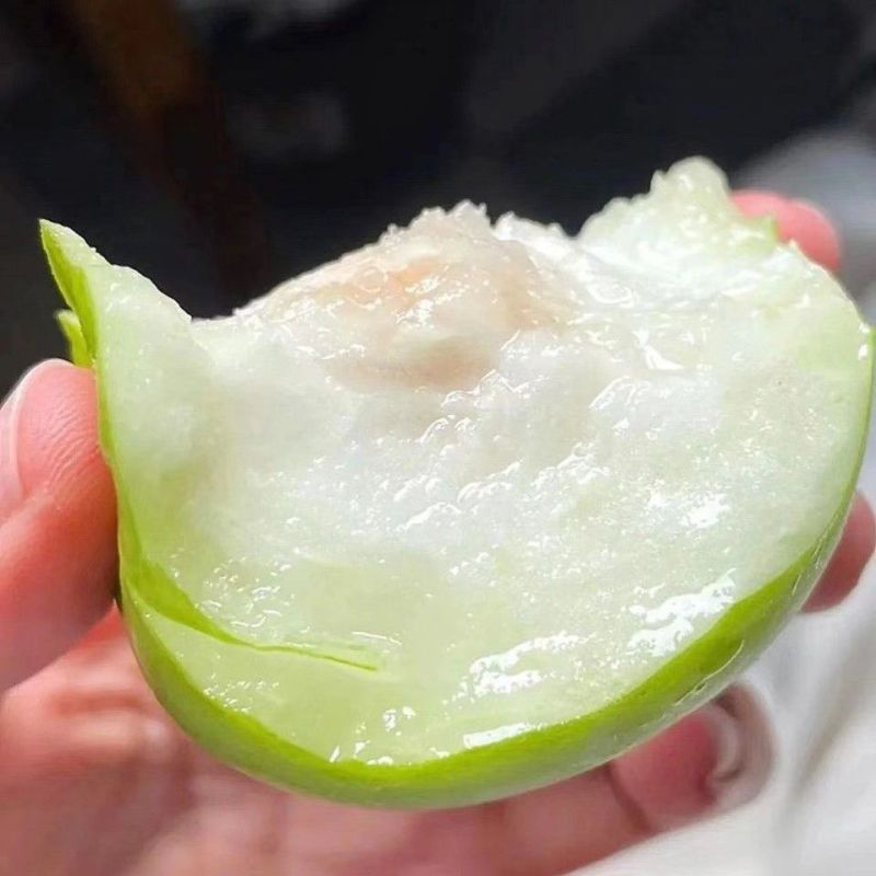 云南西双版纳苹果枣，大量上市，欢迎进店购买。