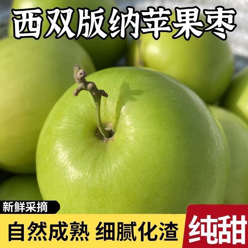 正宗云南西双版纳苹果枣，大量上市全国发货