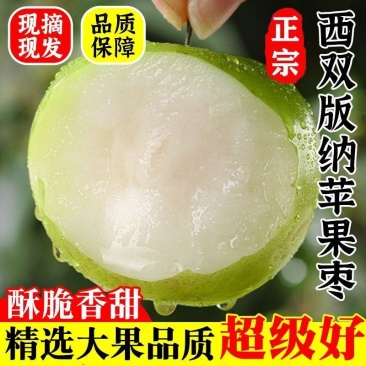 云南西双版纳牛奶枣，大量上市，全国发货欢迎进店选购