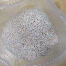 缅甸碎米杜卡B1软